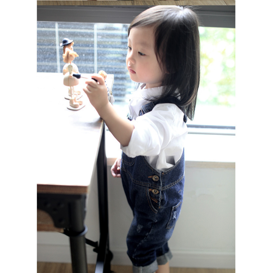 Denim Overalls / EnDast