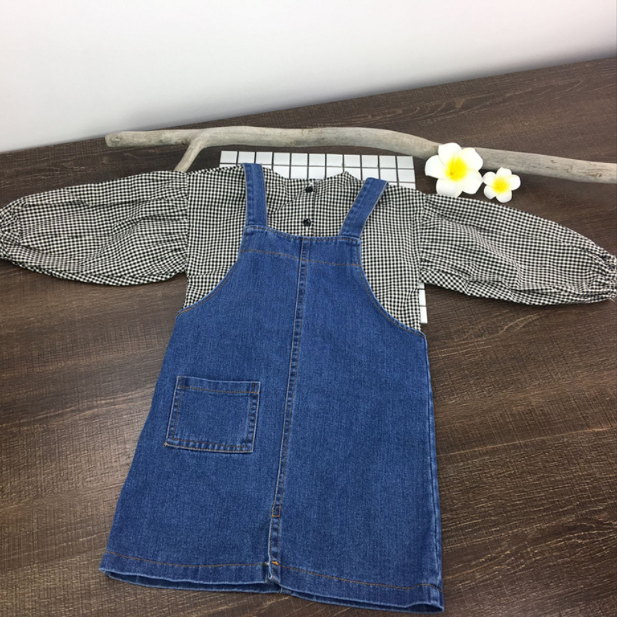 Denim Jumper Skirt / EnDast