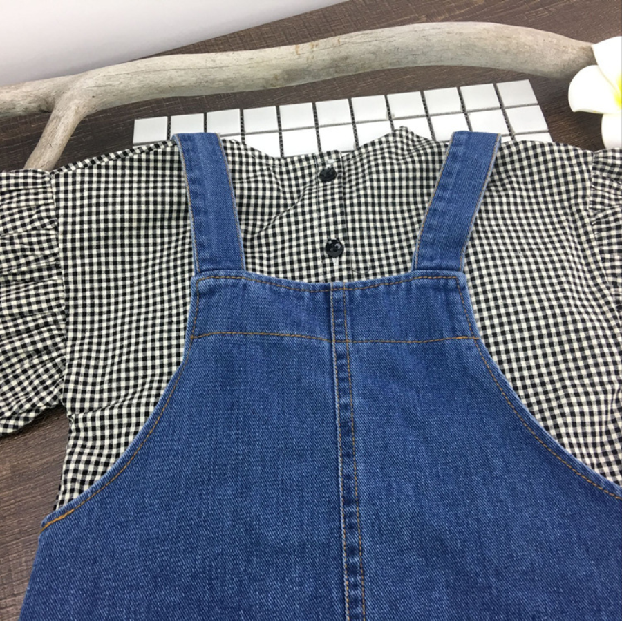 Denim Jumper Skirt / EnDast